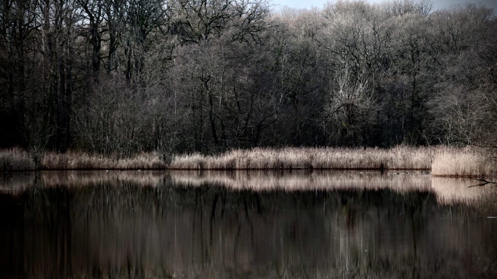 42 Acres