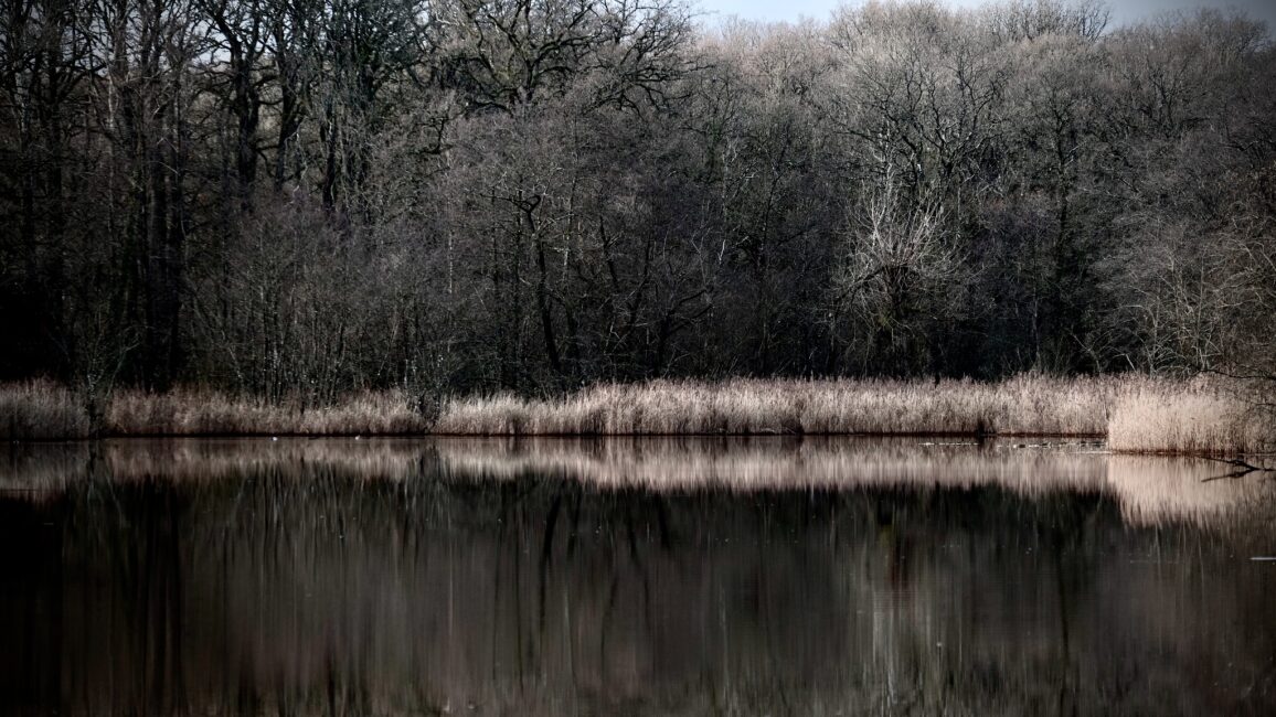 42 Acres
