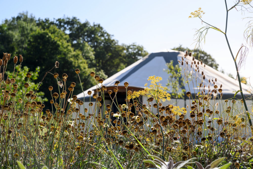 A beautiful tradtional, mongolian yurt situated in a rewilded meadow at 42 Acres retreat centre in Somerset